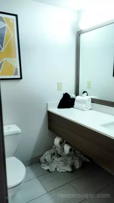 Studio Suite with Two Queen Beds bathroom picture #1