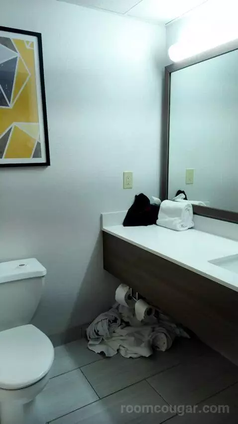 Studio Suite with Two Queen Beds bathroom picture #2