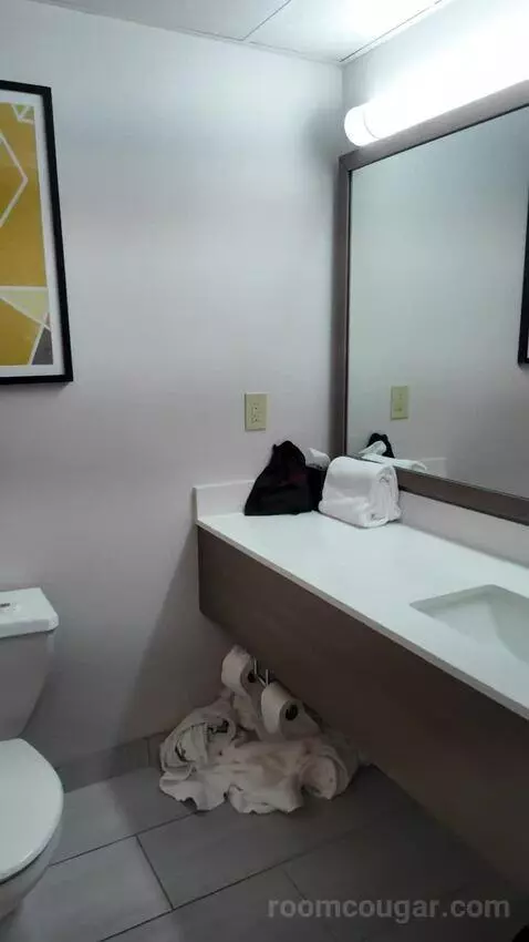 Studio Suite with Two Queen Beds bathroom picture #6