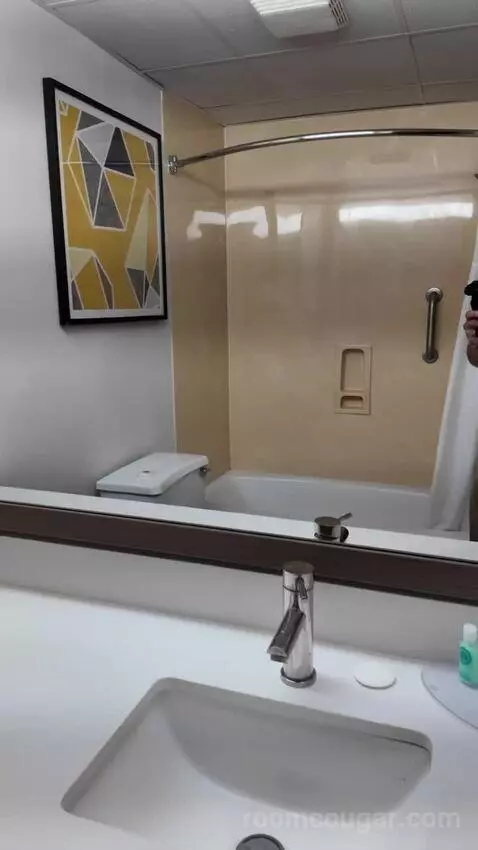 Studio Suite with Two Queen Beds bathroom picture #8
