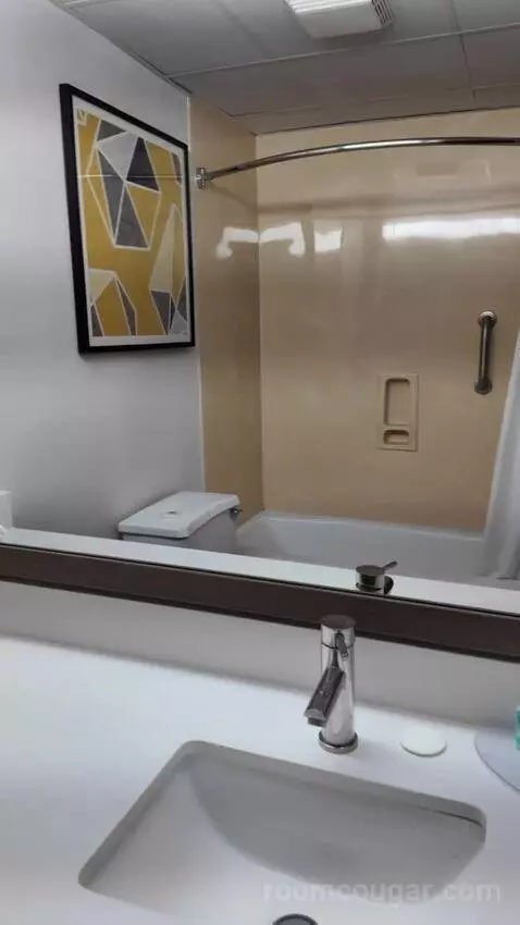 Studio Suite with Two Queen Beds bathroom picture #9