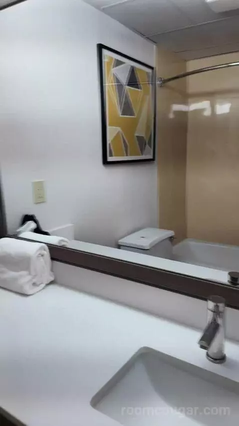 Studio Suite with Two Queen Beds bathroom picture #11