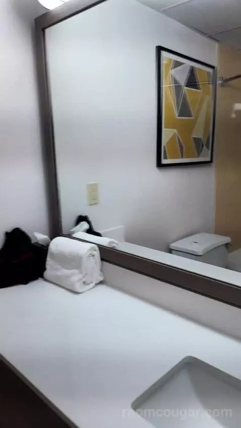 Studio Suite with Two Queen Beds bathroom picture #12