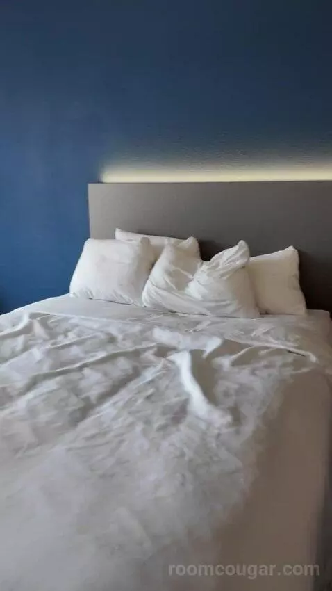 Studio Suite with Two Queen Beds bed picture #3