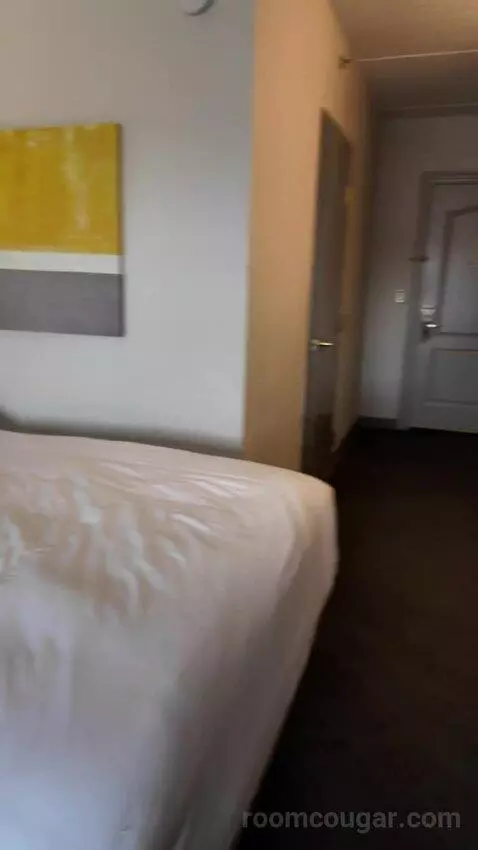 Studio Suite with Two Queen Beds bed picture #4
