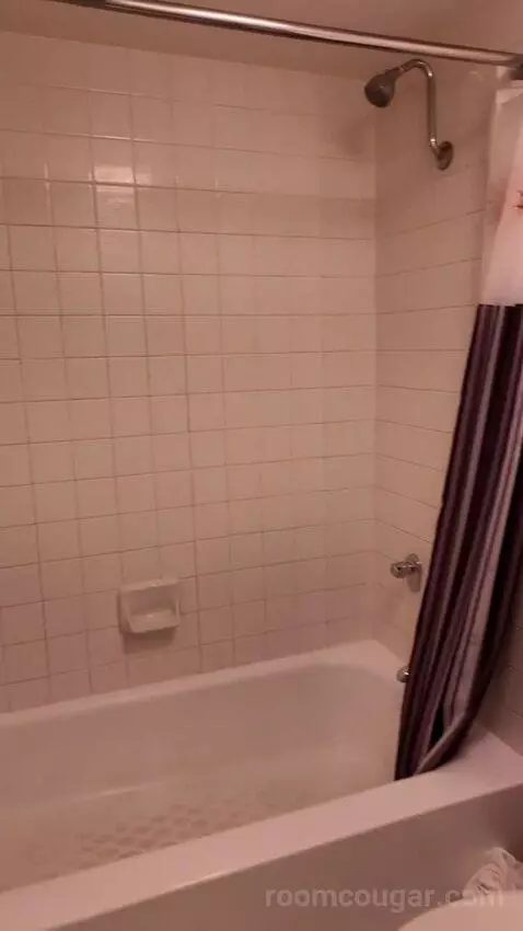 Standard bathroom picture #6