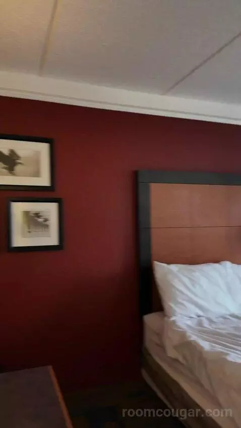 Standard bed picture #1