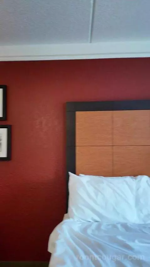Standard bed picture #5