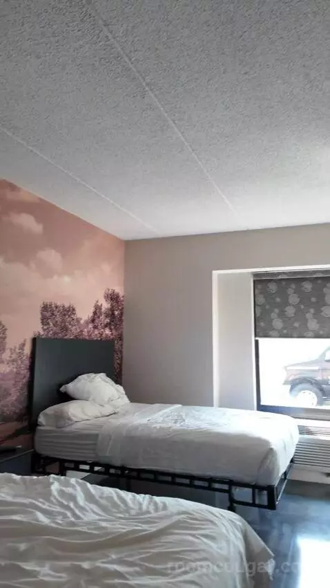 Double Queen Room bed picture #2