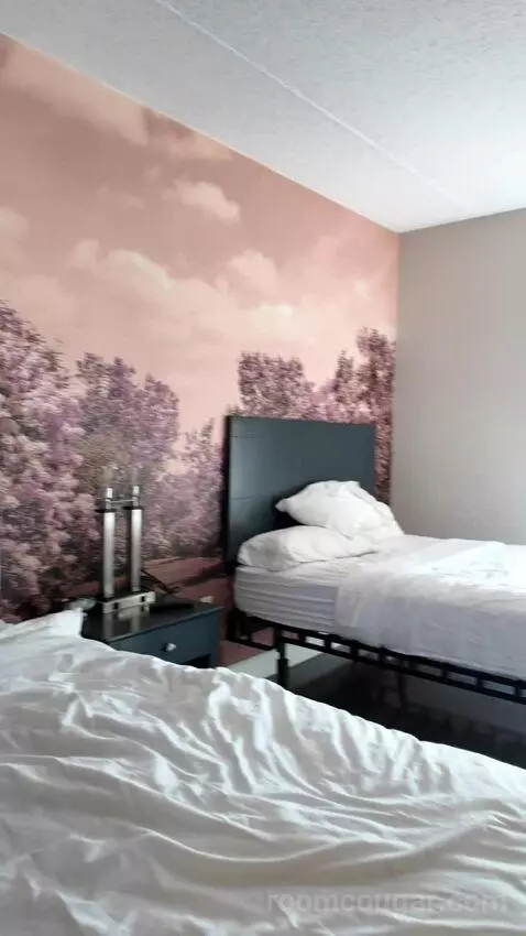 Double Queen Room bed picture #3