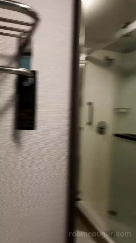 Queen Room with Two Queen Beds (#222) bathroom picture #5