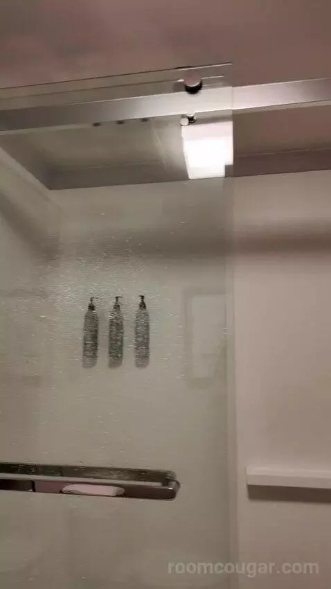 Queen Room with Two Queen Beds (#222) bathroom picture #11