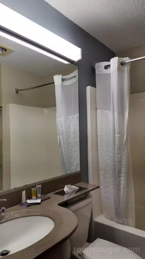 Standard bathroom picture #1