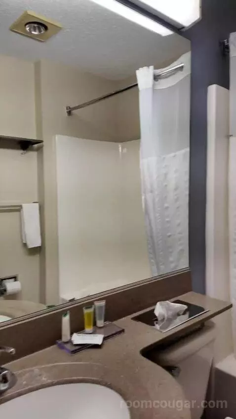 Standard bathroom picture #4