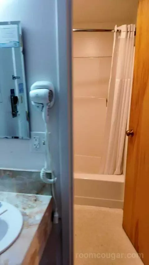 Suite with Two Queen Beds bathroom picture #11