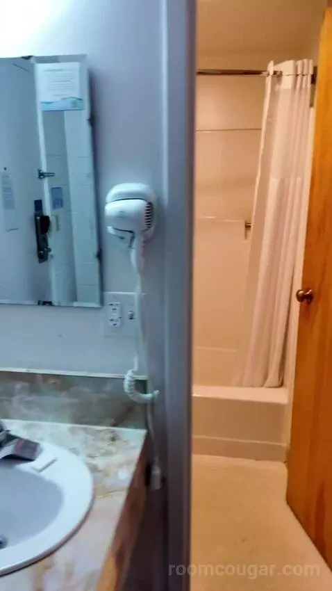 Suite with Two Queen Beds bathroom picture #12