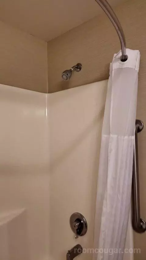 Standard bathroom picture #7