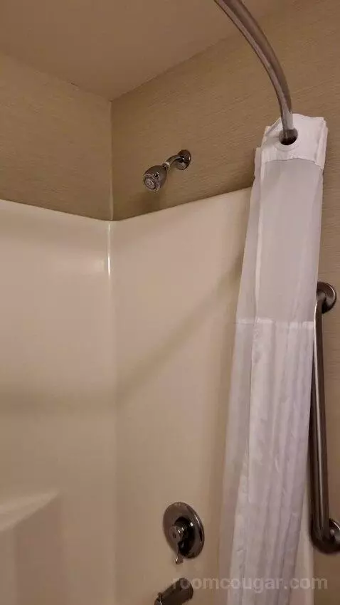 Standard bathroom picture #8