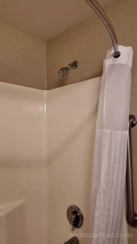 Standard bathroom picture #9