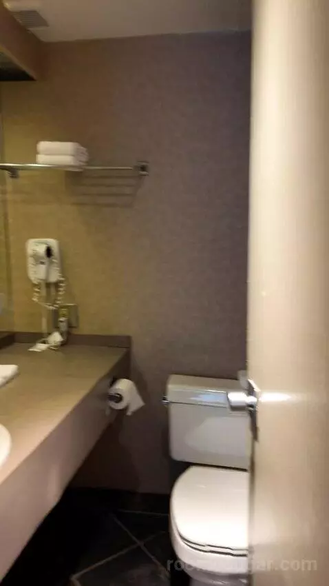 Double Room with Two Double Beds (#411) bathroom picture #1