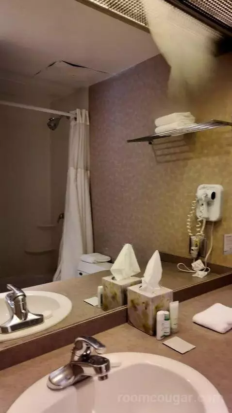 Double Room with Two Double Beds (#411) bathroom picture #6