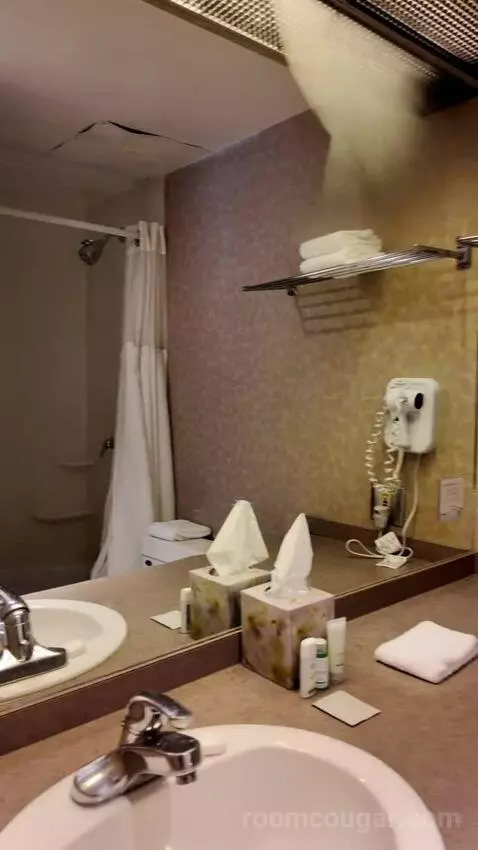 Double Room with Two Double Beds (#411) bathroom picture #7