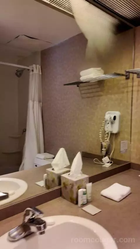 Double Room with Two Double Beds (#411) bathroom picture #8