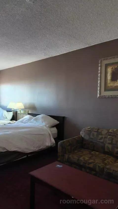 Double Room with Two Double Beds bed picture #1