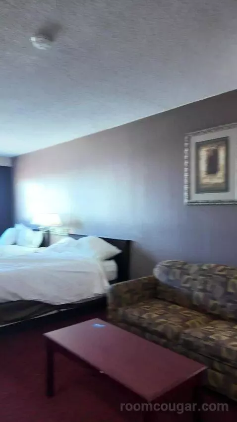 Double Room with Two Double Beds bed picture #12