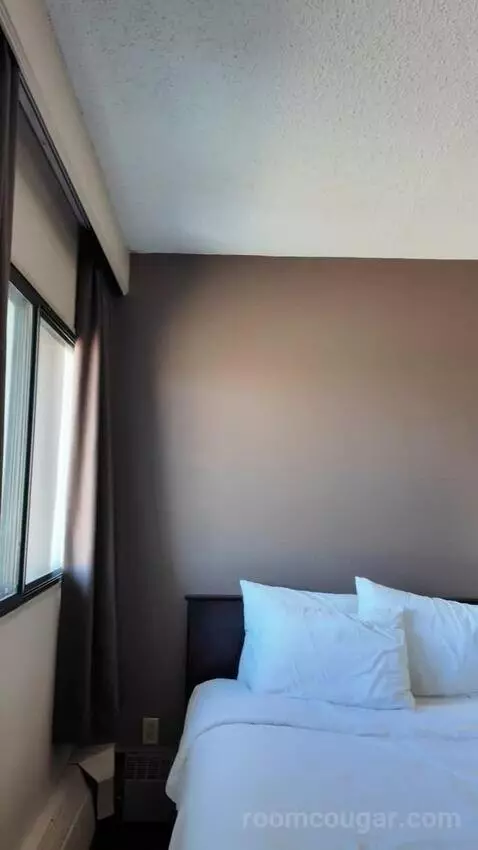 Double Room with Two Double Beds bed picture #4