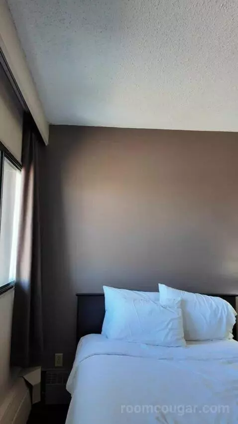Double Room with Two Double Beds bed picture #6