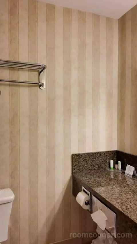 Standard (#242) bathroom picture #1