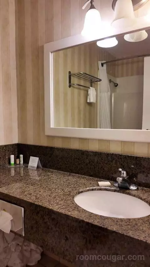 Standard (#242) bathroom picture #5