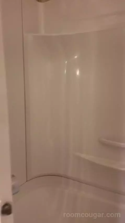 Standard (#242) bathroom picture #11