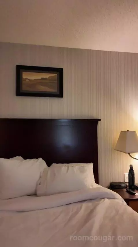 Standard (#242) bed picture #4
