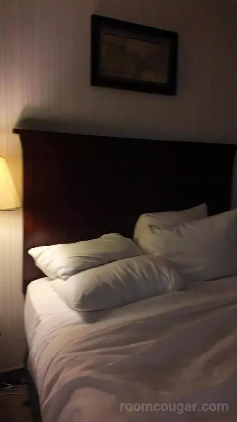 Standard (#242) bed picture #5