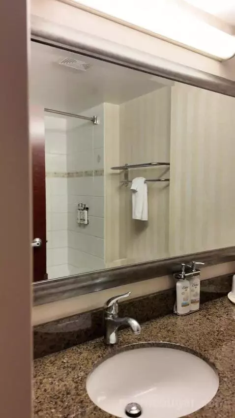 Standard (#419) bathroom picture #4