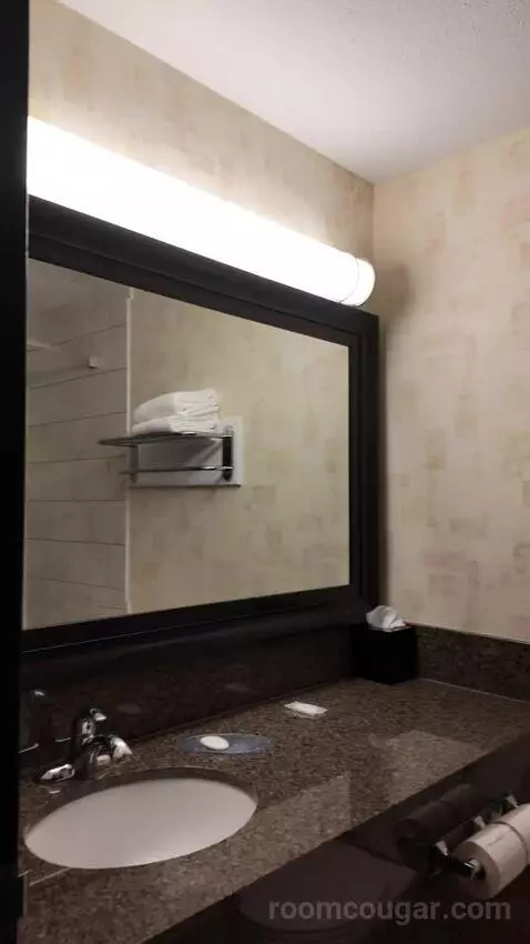 Standard Queen Room, 2nd Floor - Not Pet Friendly (#211) bathroom picture #3