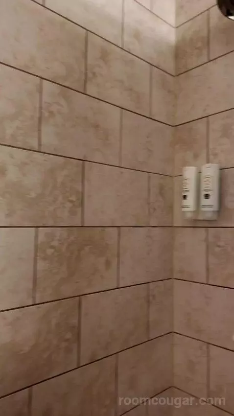 Standard Queen Room, 2nd Floor - Not Pet Friendly (#211) bathroom picture #7