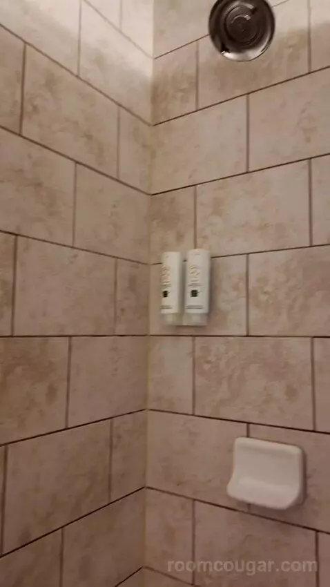 Standard Queen Room, 2nd Floor - Not Pet Friendly (#211) bathroom picture #10