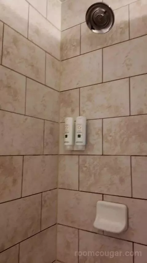Standard Queen Room, 2nd Floor - Not Pet Friendly (#211) bathroom picture #11