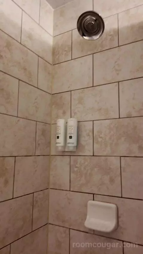 Standard Queen Room, 2nd Floor - Not Pet Friendly (#211) bathroom picture #12