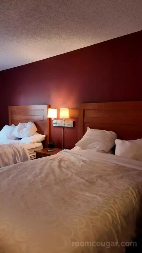Standard Queen Room, 2nd Floor - Not Pet Friendly (#211) bed picture #3