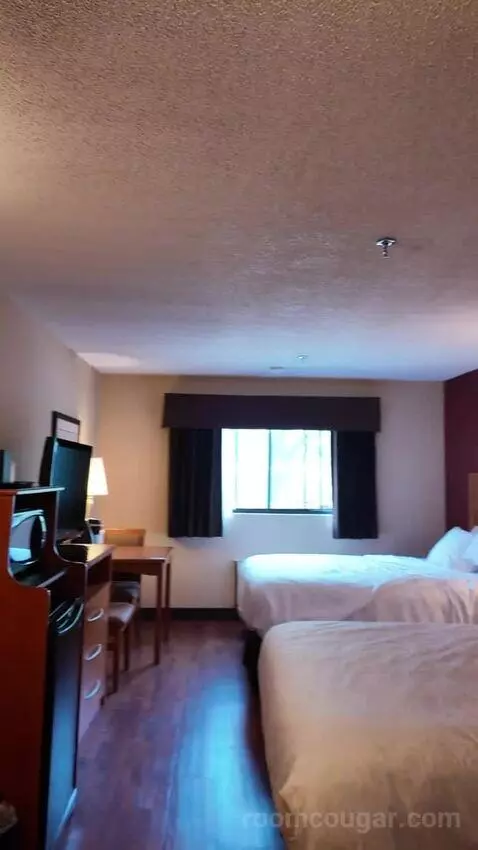 Standard Queen Room, 2nd Floor - Not Pet Friendly (#211) bed picture #9