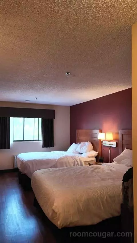 Standard Queen Room, 2nd Floor - Not Pet Friendly (#211) bed picture #10