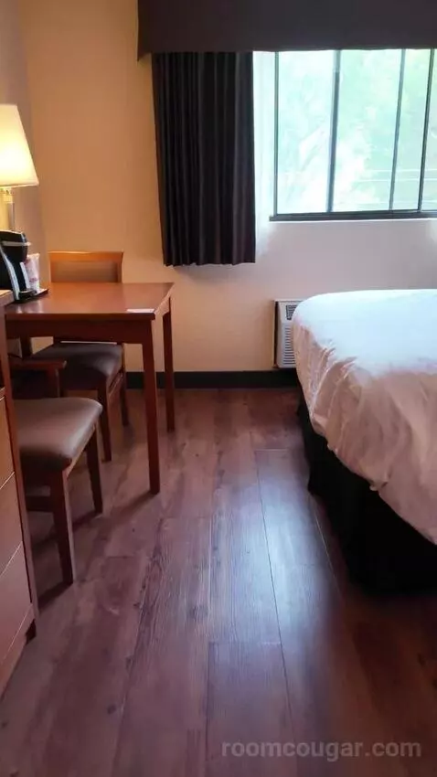 Standard Queen Room, 2nd Floor - Not Pet Friendly (#211) bed picture #5