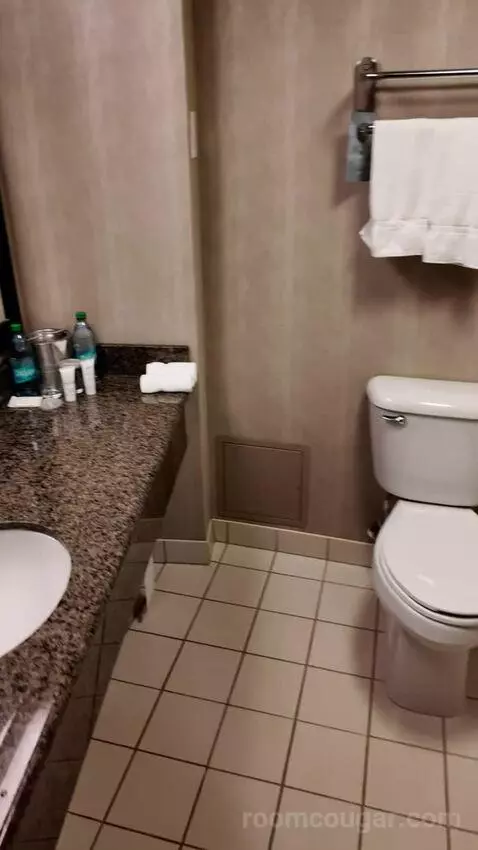 Double Room with Two Double Beds (#1713) bathroom picture #1