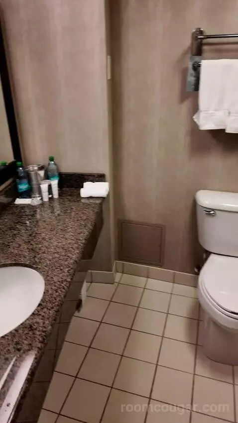 Double Room with Two Double Beds (#1713) bathroom picture #2
