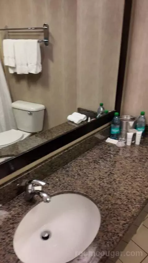Double Room with Two Double Beds (#1713) bathroom picture #3