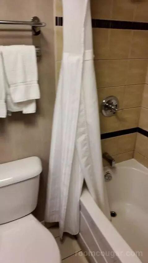 Double Room with Two Double Beds (#1713) bathroom picture #5